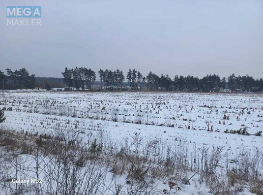 Продажа участка, 200,01&nbsp;соток, земля сельскохозяйственного назначения, <a class="location-link" href="/poltava/" title="Недвижимость Полтава">Полтава</a>, Нова (изображение 5)
