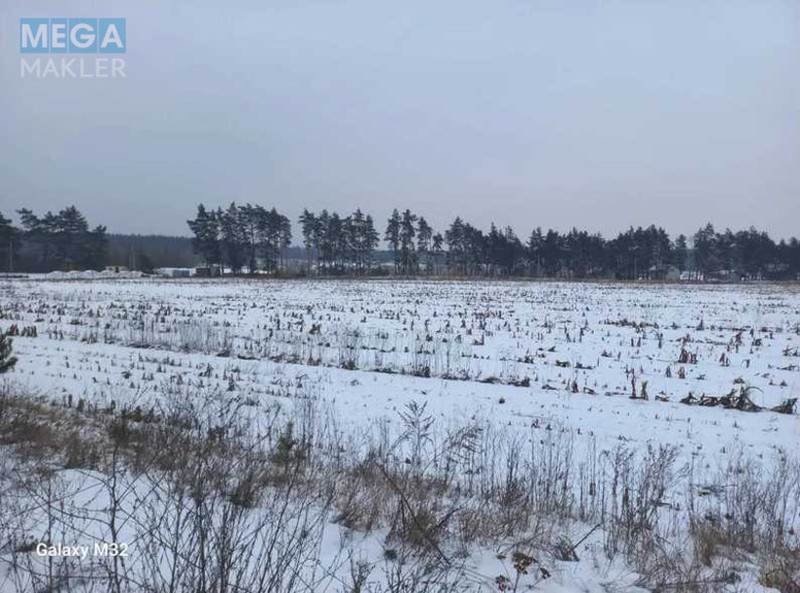 Продажа участка, 200,01&nbsp;соток, земля сельскохозяйственного назначения, <a class="location-link" href="/poltava/" title="Недвижимость Полтава">Полтава</a>, Нова (изображение 5)