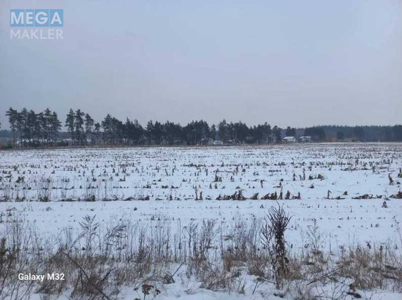 Продажа участка, 200,01&nbsp;соток, земля сельскохозяйственного назначения, <a class="location-link" href="/poltava/" title="Недвижимость Полтава">Полтава</a>, Нова (изображение 7)