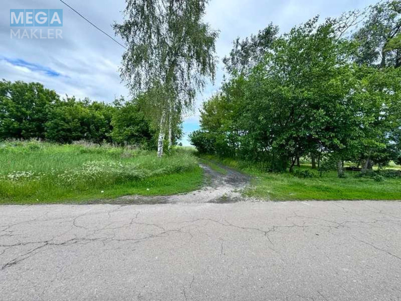 Продажа участка, 24,96&nbsp;сотки, участок под жилую застройку, <a class="location-link" href="/velikaya-starica/" title="Недвижимость Велика Стариця">Велика Стариця</a>, Нова (изображение 5)
