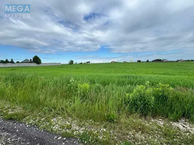 Продажа участка, 24,96&nbsp;сотки, участок под жилую застройку, <a class="location-link" href="/velikaya-starica/" title="Недвижимость Велика Стариця">Велика Стариця</a>, Нова (изображение 8)