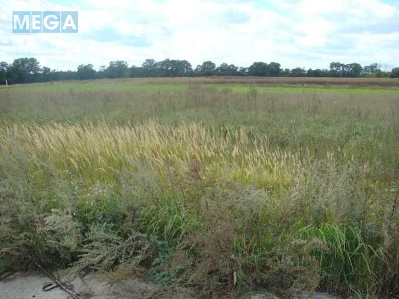 Продажа участка, 300&nbsp;соток, земля коммерческого назначения, <a class="location-link" href="/mirockoe/" title="Недвижимость Мироцьке">Мироцьке</a>, Миру (изображение 3)