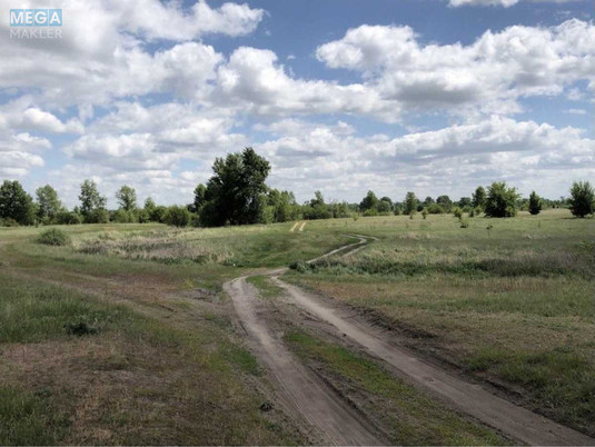 Продажа участка, 500&nbsp;соток, участок под жилую застройку, <a class="location-link" href="/novoselki-selo-kv/" title="Недвижимость Новосілки">Новосілки</a>, Корнійчука (изображение 11)