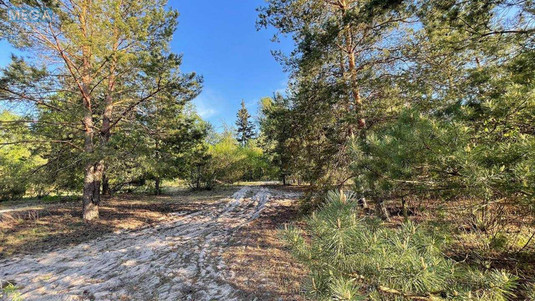Продаж комерційної нерухомості, 1&nbsp;000&nbsp;кв.м, <a class="location-link" href="/pogreby-selo-kv-brovarskij-rajon/" title="Недвижимость Погреби">Погреби</a>, Кодацька (изображение 9)