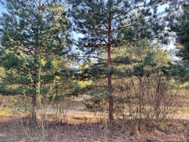 Продаж комерційної нерухомості, 1&nbsp;000&nbsp;кв.м, <a class="location-link" href="/pogreby-selo-kv-brovarskij-rajon/" title="Недвижимость Погреби">Погреби</a>, Кодацька (изображение 16)