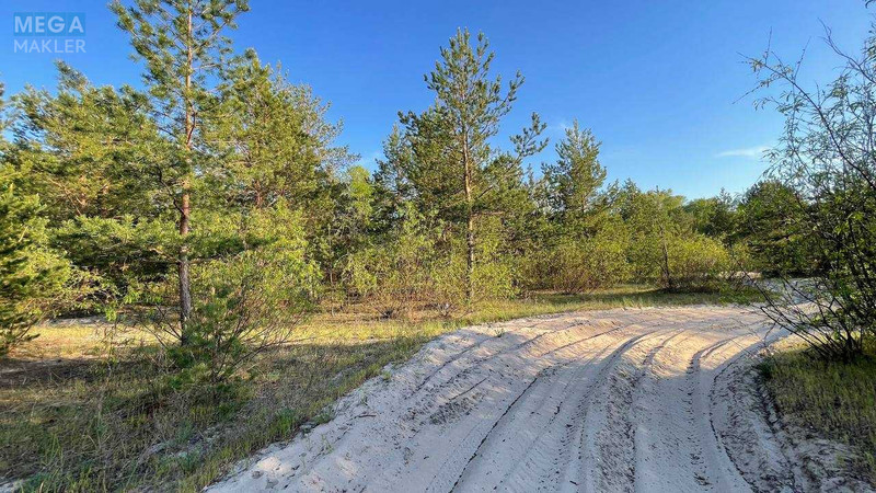 Продаж комерційної нерухомості, 1&nbsp;000&nbsp;кв.м, <a class="location-link" href="/pogreby-selo-kv-brovarskij-rajon/" title="Недвижимость Погреби">Погреби</a>, Кодацька (изображение 19)