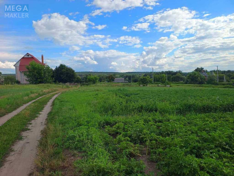 Продажа участка, 17,40&nbsp;соток, участок под жилую застройку, <a class="location-link" href="/zdorovka/" title="Недвижимость Здорівка">Здорівка</a>, Васильківська (изображение 4)