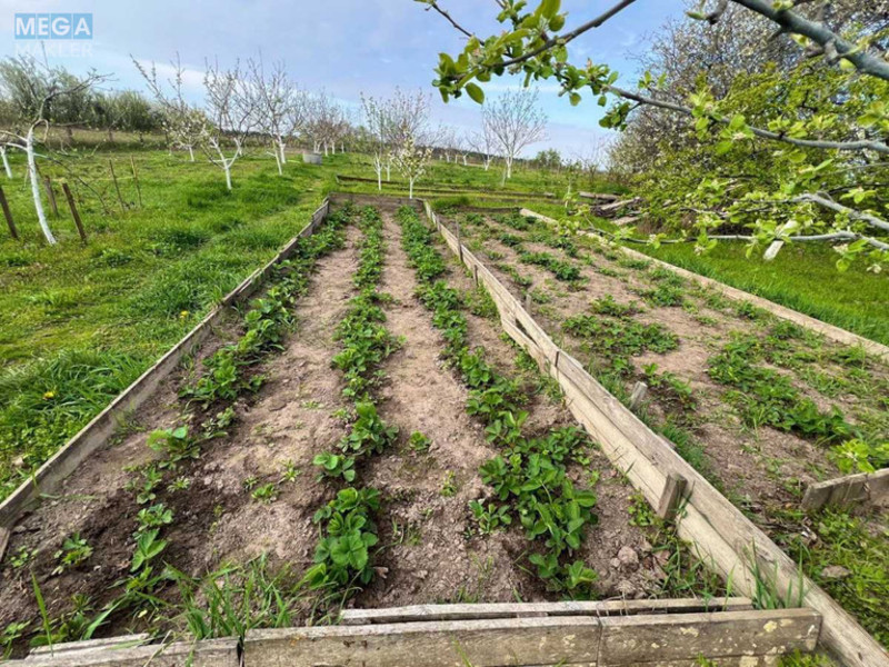 Продаж дома, 2&nbsp;поверху, 126&nbsp;кв.м, 3&nbsp;кімнати, ділянка 47&nbsp;соток, <a class="location-link" href="/negrashi/" title="Недвижимость Неграші">Неграші</a>, Ватутіна, 27 (изображение 23)