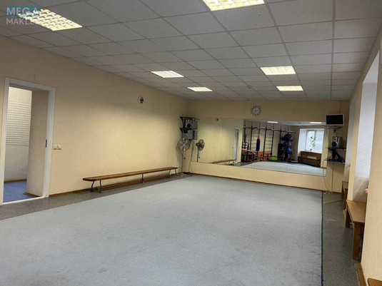 Продаж окремої будівлі/побудови, 181,50&nbsp;кв.м, <a class="location-link" href="/kiev/" title="Недвижимость Київ">Київ</a>, <a class="location-link" href="/kiev/pecherskij/" title="Недвижимость Печерський район">Печерський р-н</a>, Тверський тупік, 6/8 (изображение 23)