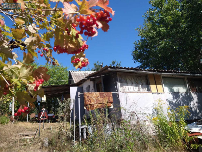 Продаж дома, 1&nbsp; поверх, 40&nbsp;кв.м, 1&nbsp; кімната, ділянка 9&nbsp;соток, <a class="location-link" href="/vasilkov/" title="Недвижимость Васильків">Васильків</a>, Миру (изображение 3)