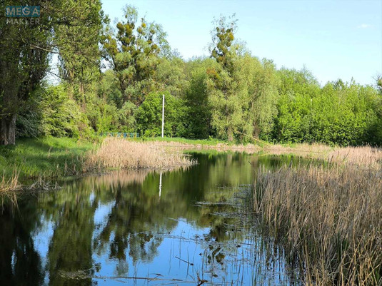 Продаж дома, 1&nbsp; поверх, 40&nbsp;кв.м, 1&nbsp; кімната, ділянка 2&nbsp;сотки, <a class="location-link" href="/osikovo-selo-kv/" title="Недвижимость Осикові">Осикове</a>, Польова (изображение 22)
