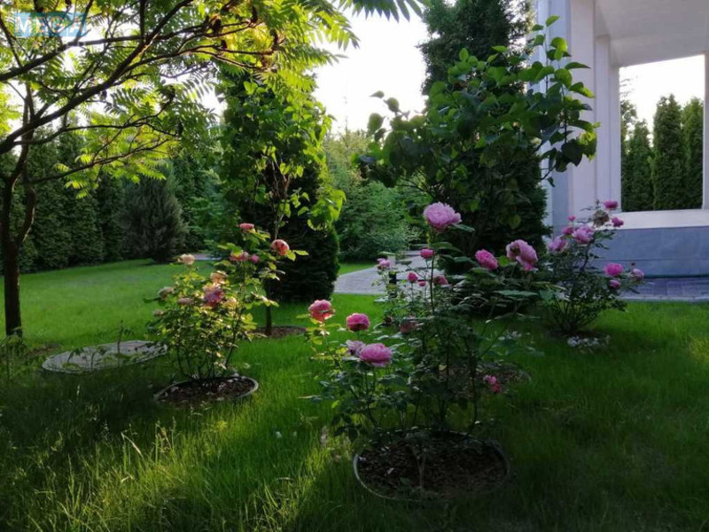 Продаж дома, 2&nbsp;поверху, 250&nbsp;кв.м, 5&nbsp;кімнат, ділянка 10&nbsp;соток, <a class="location-link" href="/vyshgorod/" title="Недвижимость Вишгород">Вишгород</a>, Полунична (изображение 9)