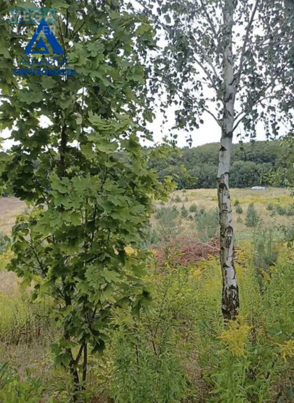 Продажа участка, 148&nbsp;соток, земля сельскохозяйственного назначения, <a class="location-link" href="/garazdzha/" title="Недвижимость Гаразджа">Гаразджа</a>, пай (изображение 2)
