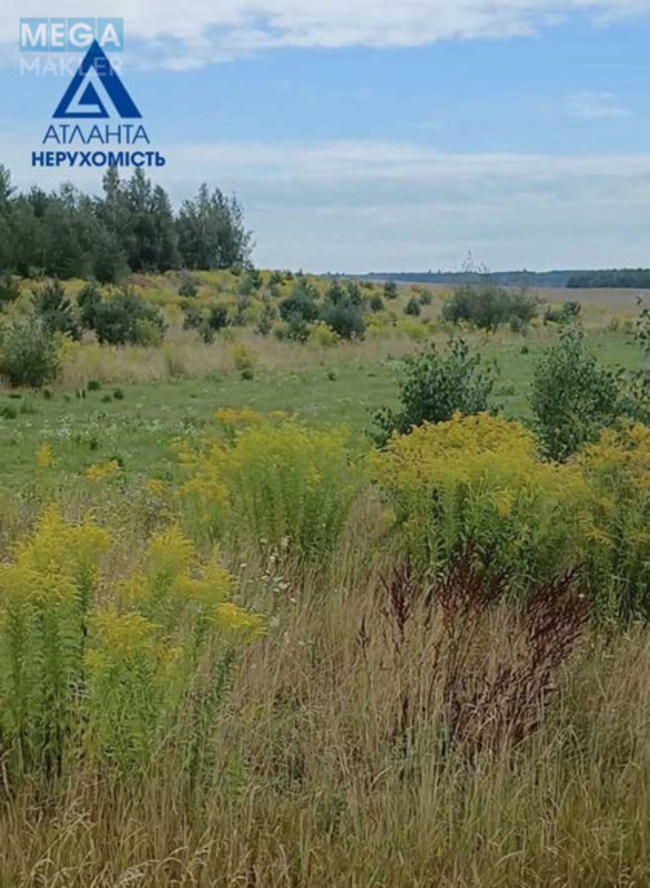 Продажа участка, 148&nbsp;соток, земля сельскохозяйственного назначения, <a class="location-link" href="/garazdzha/" title="Недвижимость Гаразджа">Гаразджа</a>, пай (изображение 3)