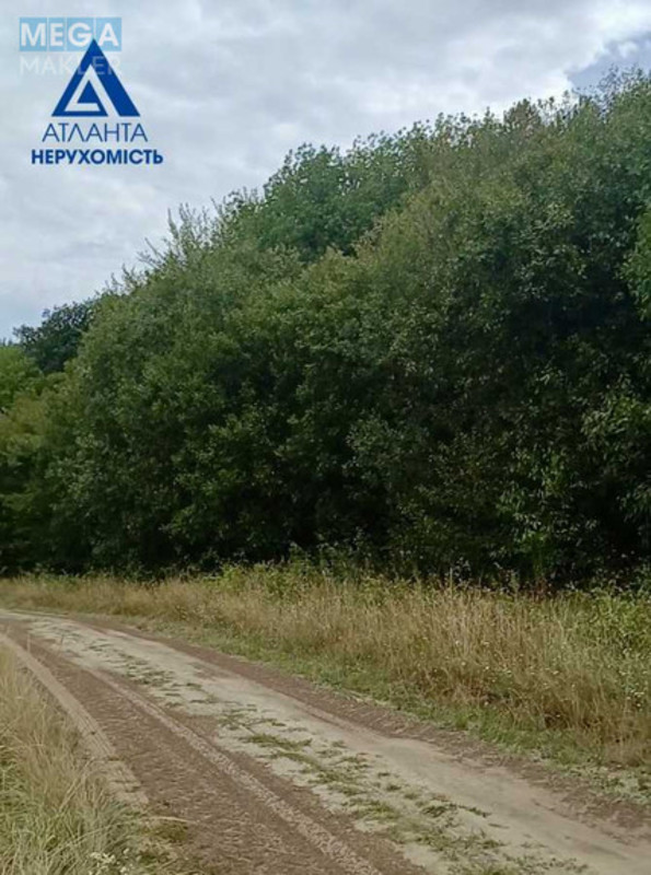 Продажа участка, 148&nbsp;соток, земля сельскохозяйственного назначения, <a class="location-link" href="/garazdzha/" title="Недвижимость Гаразджа">Гаразджа</a>, пай (изображение 4)