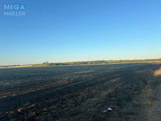 Продажа участка, 1&nbsp;000&nbsp;соток, земля сельскохозяйственного назначения, <a class="location-link" href="/podgorodnoe/" title="Недвижимость Підгородне">Підгородне</a>, Нова (изображение 2)