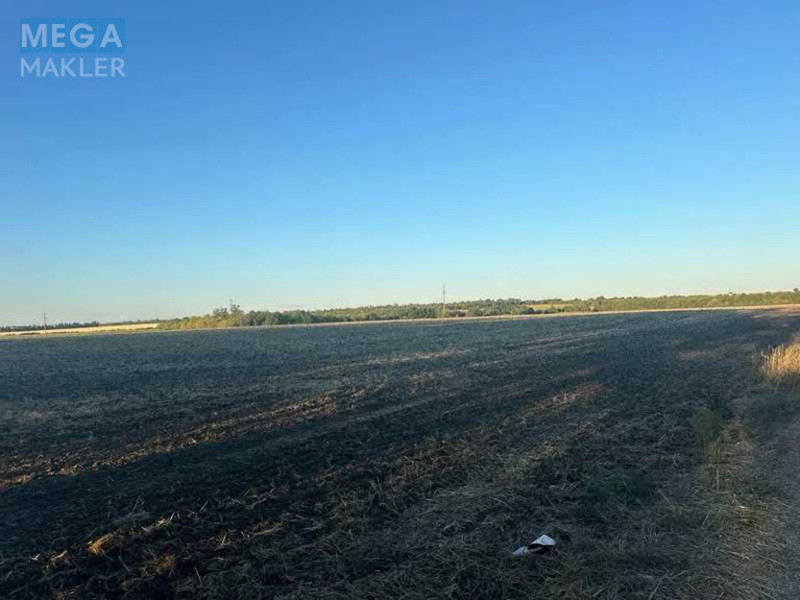 Продажа участка, 1&nbsp;000&nbsp;соток, земля сельскохозяйственного назначения, <a class="location-link" href="/podgorodnoe/" title="Недвижимость Підгородне">Підгородне</a>, Нова (изображение 2)