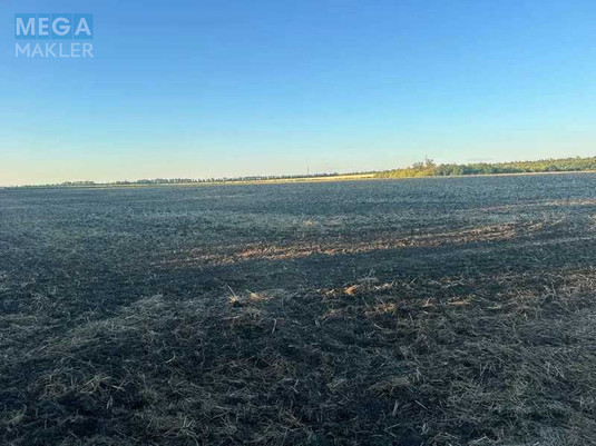 Продажа участка, 1&nbsp;000&nbsp;соток, земля сельскохозяйственного назначения, <a class="location-link" href="/podgorodnoe/" title="Недвижимость Підгородне">Підгородне</a>, Нова (изображение 3)