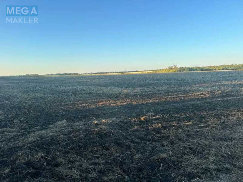 Продажа участка, 1&nbsp;000&nbsp;соток, земля сельскохозяйственного назначения, <a class="location-link" href="/podgorodnoe/" title="Недвижимость Підгородне">Підгородне</a>, Нова (изображение 3)