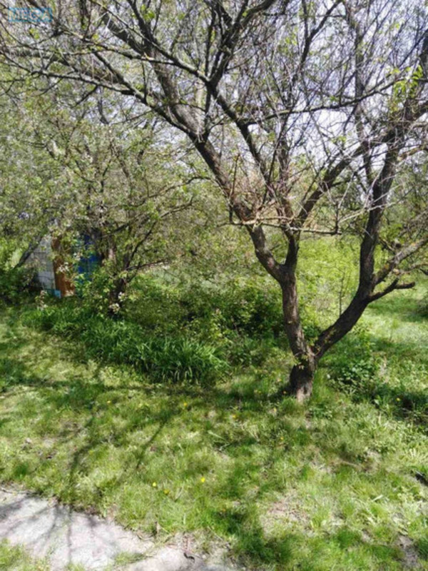 Продаж дома, 1&nbsp; поверх, 73&nbsp;кв.м, 3&nbsp;кімнати, ділянка 25&nbsp;соток, <a class="location-link" href="/severinovka-selo-kv/" title="Недвижимость Северинівка">Северинівка</a>, миру, 5 (изображение 7)