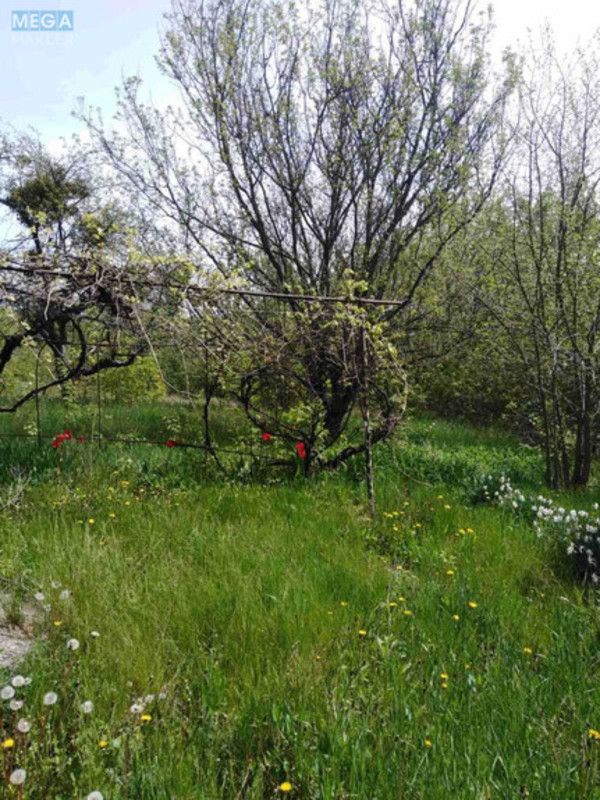 Продаж дома, 1&nbsp; поверх, 73&nbsp;кв.м, 3&nbsp;кімнати, ділянка 25&nbsp;соток, <a class="location-link" href="/severinovka-selo-kv/" title="Недвижимость Северинівка">Северинівка</a>, миру, 5 (изображение 10)