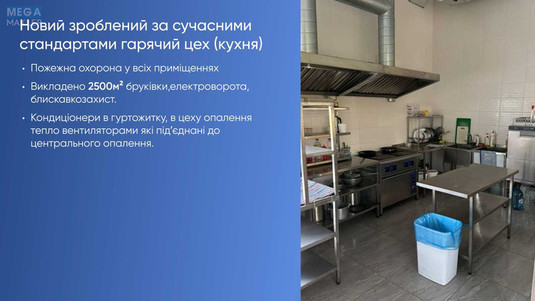 Продаж комплексу будівель та споруд, 1&nbsp;835&nbsp;кв.м, под производство, <a class="location-link" href="/beregovo/" title="Недвижимость Берегове">Берегове</a>, запорізька, 50 (изображение 8)