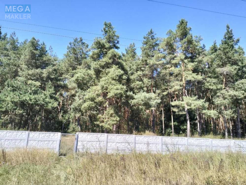 Продаж дома, 1&nbsp; поверх, 74&nbsp;кв.м, 2&nbsp;кімнати, ділянка 19&nbsp;соток, <a class="location-link" href="/tomilovka/" title="Недвижимость Томилівка">Томилівка</a>, Лісова (изображение 2)
