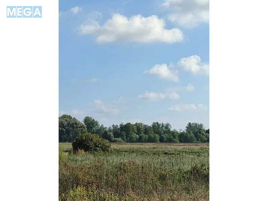 Продажа участка, 100&nbsp;соток, земля сельскохозяйственного назначения, <a class="location-link" href="/pyshiki-selo/" title="Недвижимость Пищики">Пищики</a>, <a class="location-link" href="/pyshiki-selo/darnickij/" title="Недвижимость Дарницкий район">Дарницкий р-н</a>, Нова (изображение 3)