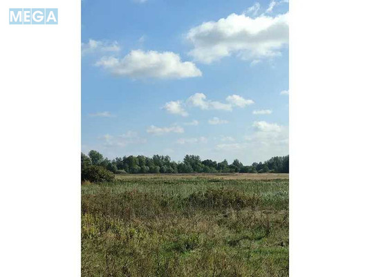 Продажа участка, 100&nbsp;соток, земля сельскохозяйственного назначения, <a class="location-link" href="/pyshiki-selo/" title="Недвижимость Пищики">Пищики</a>, <a class="location-link" href="/pyshiki-selo/darnickij/" title="Недвижимость Дарницкий район">Дарницкий р-н</a>, Нова (изображение 4)