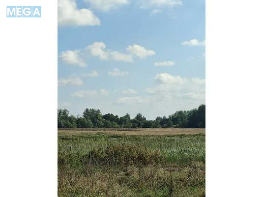 Продажа участка, 100&nbsp;соток, земля сельскохозяйственного назначения, <a class="location-link" href="/pyshiki-selo/" title="Недвижимость Пищики">Пищики</a>, <a class="location-link" href="/pyshiki-selo/darnickij/" title="Недвижимость Дарницкий район">Дарницкий р-н</a>, Нова (изображение 6)