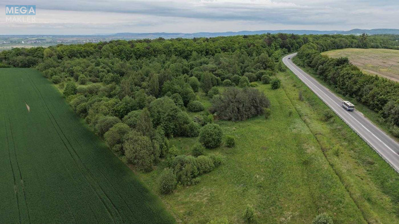 Продажа участка, 190&nbsp;соток, земля сельскохозяйственного назначения, <a class="location-link" href="/sholomin/" title="Недвижимость Шоломінь">Шоломинь</a>, шевченка (изображение 9)