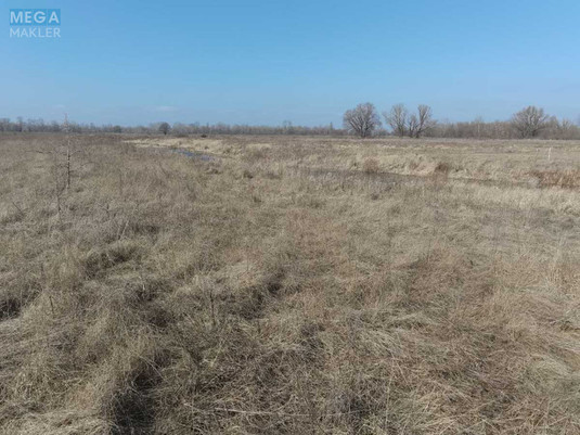 Продажа участка, 12&nbsp;соток, земля сельскохозяйственного назначения, <a class="location-link" href="/pogreby-selo-kv-brovarskij-rajon/" title="Недвижимость Погреби">Погреби</a>, Садова (изображение 7)
