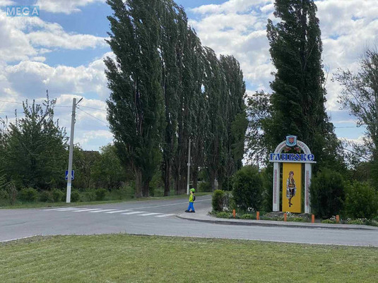 Продажа участка, 25&nbsp;соток, участок под жилую застройку, <a class="location-link" href="/glubokoe-selo-kv/" title="Недвижимость Глибоке">Глибоке</a>, Кошарська (изображение 2)