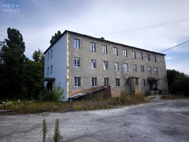 Продаж комплексу будівель та споруд, 10&nbsp;000&nbsp;кв.м, под производство, <a class="location-link" href="/borispol/" title="Недвижимость Бориспіль">Бориспіль</a>, запорізька, 14 (изображение 18)