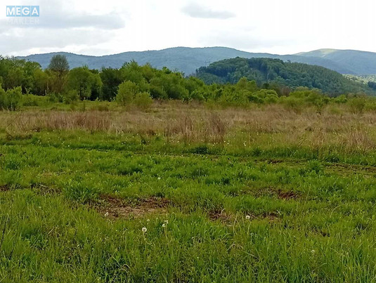 Продажа участка, 150&nbsp;соток, земля коммерческого назначения, <a class="location-link" href="/nelipino/" title="Недвижимость Неліпіно">Неліпино</a>, Торгова (изображение 3)