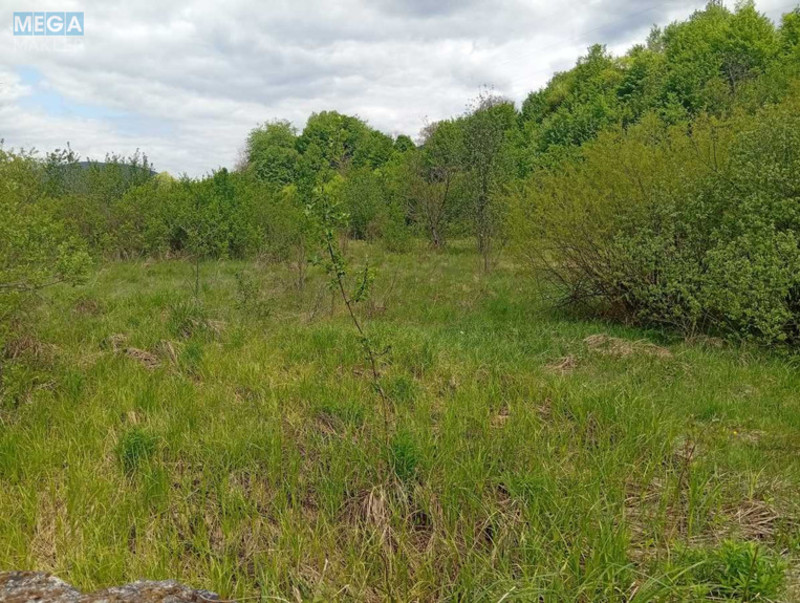 Продажа участка, 150&nbsp;соток, земля коммерческого назначения, <a class="location-link" href="/nelipino/" title="Недвижимость Неліпіно">Неліпино</a>, Торгова (изображение 7)