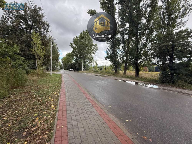 Продажа участка, 45&nbsp;соток, земля сельскохозяйственного назначения, <a class="location-link" href="/chubinskoe/" title="Недвижимость Чубинське">Чубинське</a>, Бориспільська (изображение 2)