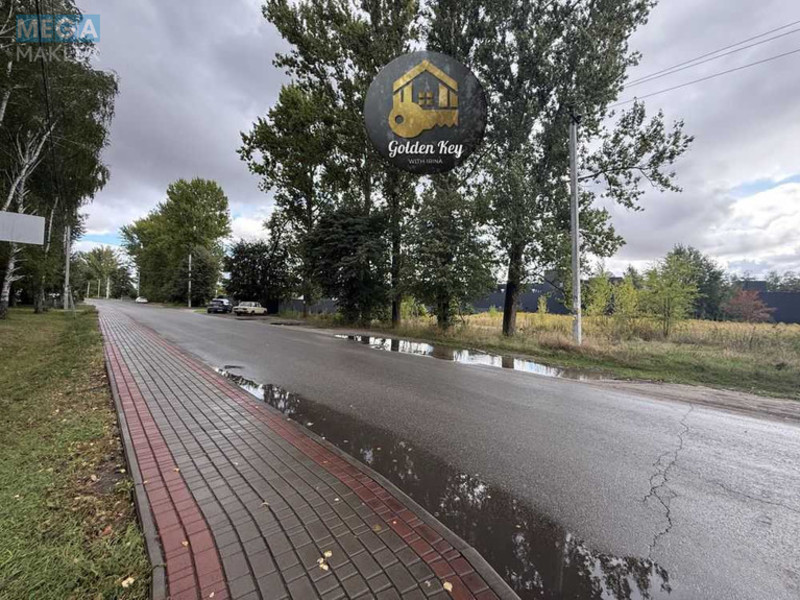 Продажа участка, 45&nbsp;соток, земля сельскохозяйственного назначения, <a class="location-link" href="/chubinskoe/" title="Недвижимость Чубинське">Чубинське</a>, Бориспільська (изображение 3)