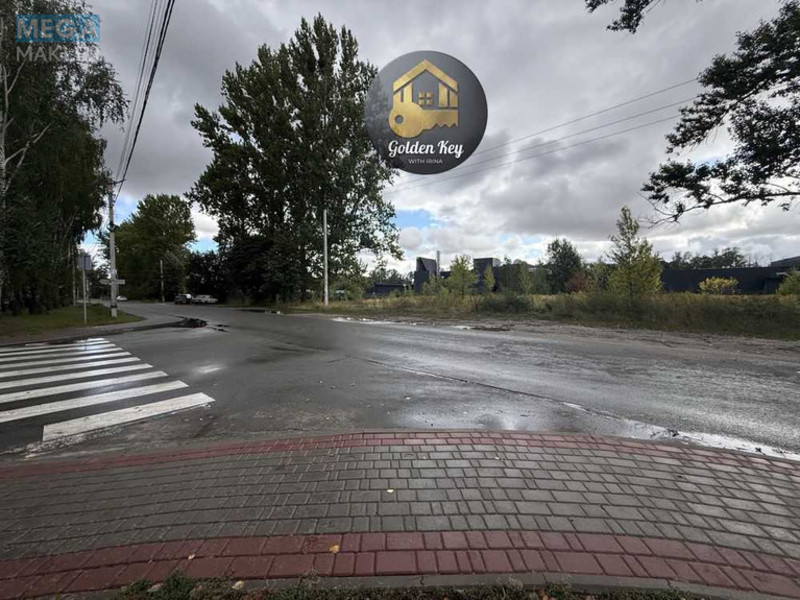 Продажа участка, 45&nbsp;соток, земля сельскохозяйственного назначения, <a class="location-link" href="/chubinskoe/" title="Недвижимость Чубинське">Чубинське</a>, Бориспільська (изображение 10)