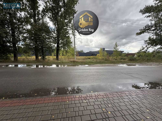 Продажа участка, 45&nbsp;соток, земля сельскохозяйственного назначения, <a class="location-link" href="/chubinskoe/" title="Недвижимость Чубинське">Чубинське</a>, Бориспільська (изображение 11)