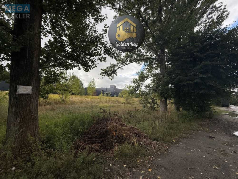 Продажа участка, 45&nbsp;соток, земля сельскохозяйственного назначения, <a class="location-link" href="/chubinskoe/" title="Недвижимость Чубинське">Чубинське</a>, Бориспільська (изображение 14)
