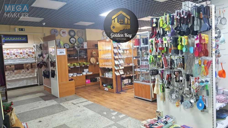 Оренда комерційної нерухомості, 500&nbsp;кв.м, <a class="location-link" href="/kiev/" title="Недвижимость Київ">Київ</a>, <a class="location-link" href="/kiev/darnickij/" title="Недвижимость Дарницький район">Дарницький р-н</a>, Ревуцького вул. (изображение 11)