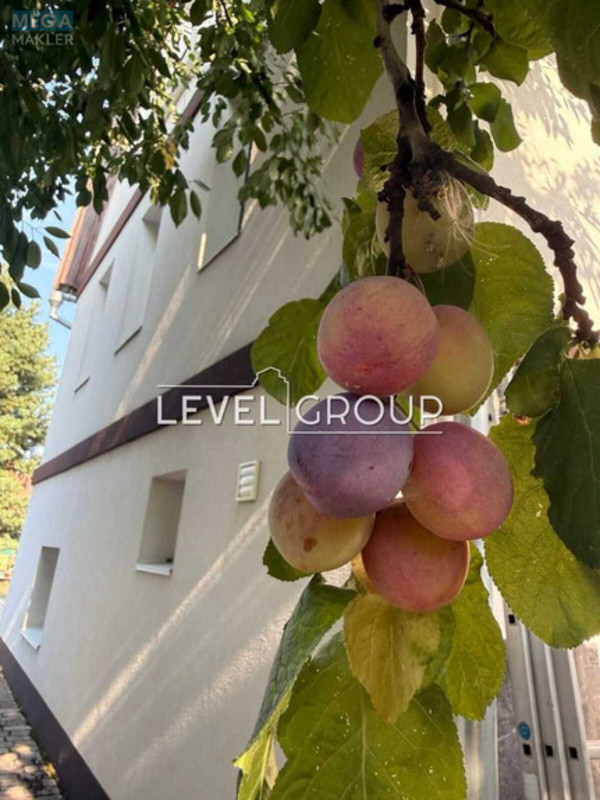 Продаж дома, 3&nbsp;поверху, 135&nbsp;кв.м, 3&nbsp;кімнати, ділянка 6&nbsp;соток, <a class="location-link" href="/hotyanovka/" title="Недвижимость Хотянівка">Хотянівка</a>, Ветеранська, 5 (изображение 22)