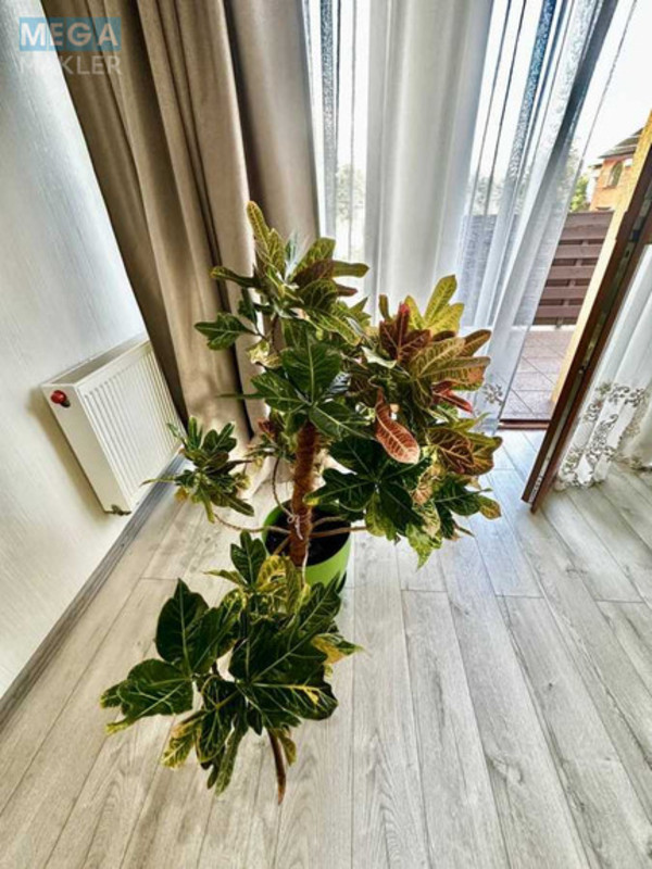 Продаж дома, 2&nbsp;поверху, 147&nbsp;кв.м, 5&nbsp;кімнат, ділянка 3&nbsp;сотки, <a class="location-link" href="/kiev/" title="Недвижимость Київ">Київ</a>, <a class="location-link" href="/kiev/dneprovskij/" title="Недвижимость Дніпровський район">Дніпровський р-н</a>, Центрально-садова вул., 50А (изображение 18)