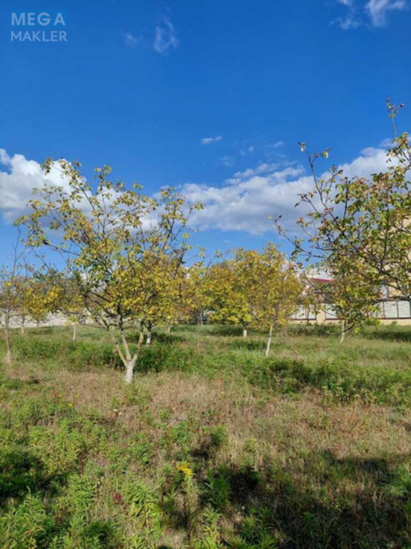 Продажа участка, 11&nbsp;соток, участок под жилую застройку, <a class="location-link" href="/bogolyuby/" title="Недвижимость Боголюби">Боголюби</a>, Польова (изображение 5)