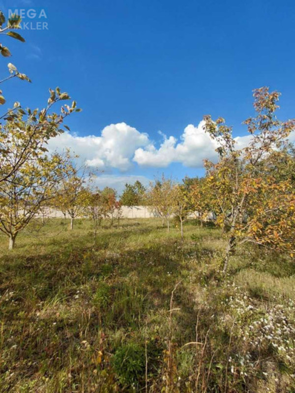 Продажа участка, 11&nbsp;соток, участок под жилую застройку, <a class="location-link" href="/bogolyuby/" title="Недвижимость Боголюби">Боголюби</a>, Польова (изображение 6)