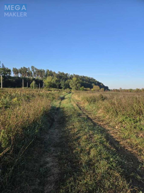 Продажа участка, 5&nbsp;соток, земля сельскохозяйственного назначения, <a class="location-link" href="/bobrica-selo-kv/" title="Недвижимость Бобриця">Бобриця</a>, Невідома (изображение 2)