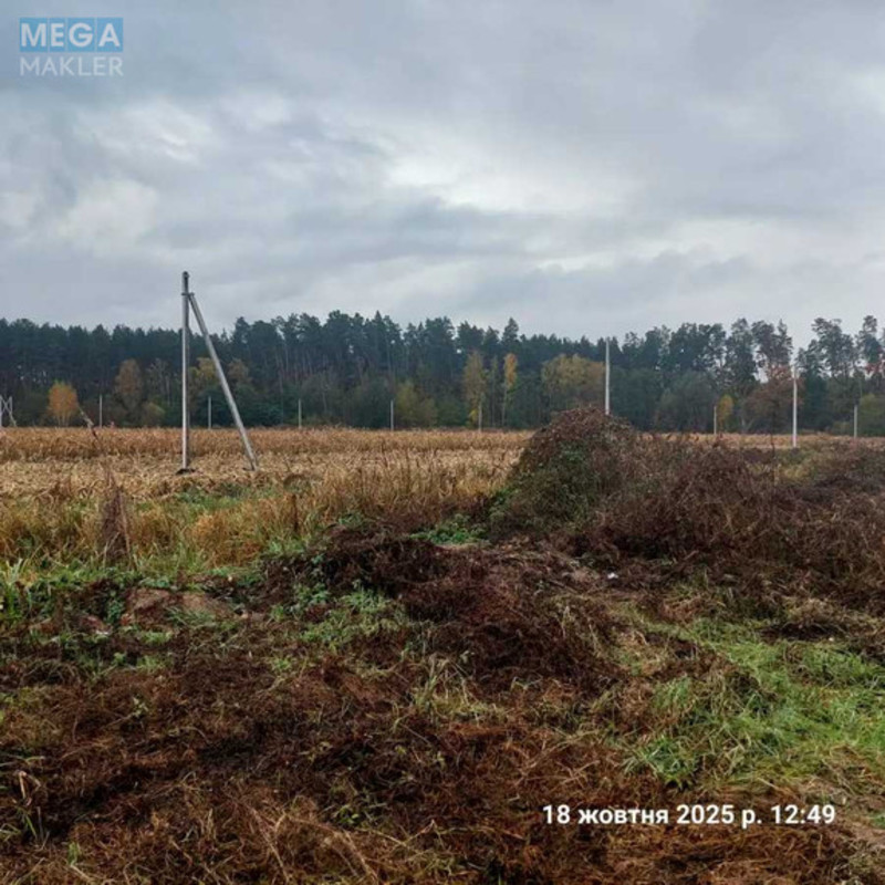 Продажа участка, 5&nbsp;соток, земля сельскохозяйственного назначения, <a class="location-link" href="/bobrica-selo-kv/" title="Недвижимость Бобриця">Бобриця</a>, Невідома (изображение 6)