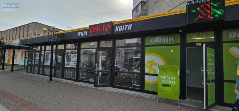Продаж комерційної нерухомості, 2&nbsp;347&nbsp;кв.м, под магазин, <a class="location-link" href="/kiev/" title="Недвижимость Київ">Київ</a>, <a class="location-link" href="/kiev/pecherskij/" title="Недвижимость Печерський район">Печерський р-н</a>, Печерська пл., 1 (изображение 6)