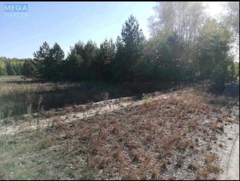 Продажа участка, 600&nbsp;соток, участок под жилую застройку, <a class="location-link" href="/gruzskoe-selo-kv/" title="Недвижимость Грузьке">Грузьке</a>, Шевченка (изображение 5)